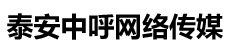 泰安中呼網(wǎng)絡(luò)傳媒logo